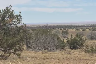 Lot 205 Chevlon Canyon Ranch, Heber, AZ 85928 - Photo 1