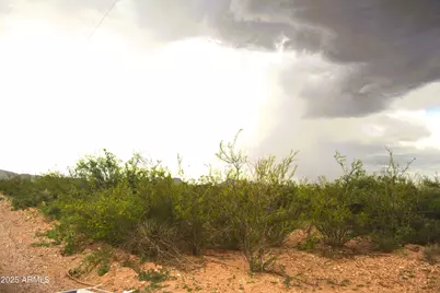 Tbd E Calle Principal, Douglas, AZ 85607 - Photo 1