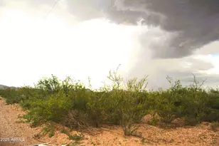 Tbd E Calle Principal, Douglas, AZ 85607 - Photo 1