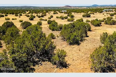 8692 Supancheck #45, Show Low, AZ 85901 - Photo 1