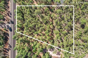 2280 S Bristlecone, Show Low, AZ 85901 - Photo 1