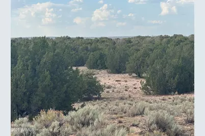 Lot 16 Apn 205-33-016, Saint Johns, AZ 85936 - Photo 1