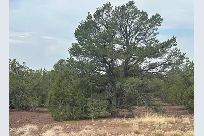 Lot 2 Stanford Drive #2, Vernon, AZ 85940 - Photo 1