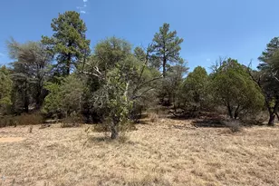 281 E Cline, Young, AZ 85554 - Photo 1