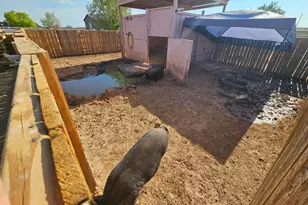 33066 N Brinlee Ln, San Tan Valley, AZ 85143 - Photo 39