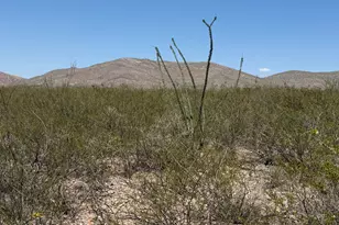 Lot 114 Valley Springs --, Douglas, AZ 85607 - Photo 1