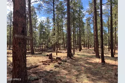 18 N County Road N1045 -- #103, Springerville, AZ 85938 - Photo 1