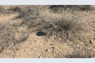 48Xx N 420th Ave -- #424, Tonopah, AZ 85354 - Photo 11