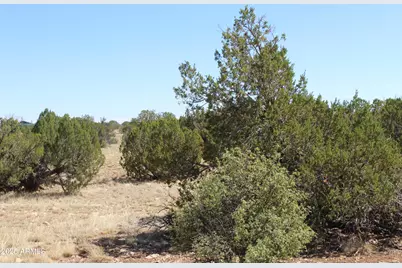 Sec 9 T14N,R16E: Sw4 Nw4 Sw4 -- #'-', Heber, AZ 85928 - Photo 1