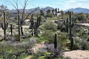 7739 E Dynamite Blvd, Scottsdale, AZ 85266 - Photo 1