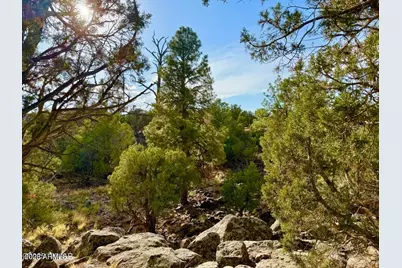 1842 Rocky Bottom, Show Low, AZ 85901 - Photo 1
