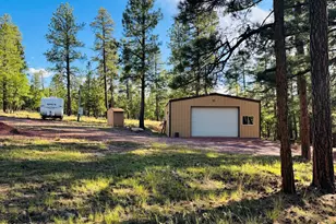 1913 Velvet Antler Trail, Happy Jack, AZ 86024 - Photo 1