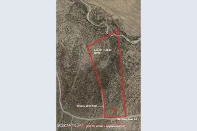 44.23Ac W Grey Bear, Willcox, AZ 85643 - Photo 1