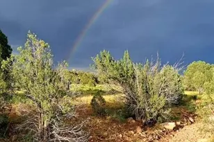 Jolly Jolly, Seligman, AZ 86337 - Photo 1
