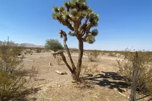 Xxxxx N Phillip (Lot 340) Rd, Dolan Springs, AZ 86441 - Photo 1