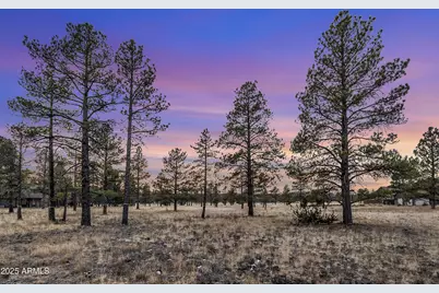 3353 N Cazadero Trail #14, Flagstaff, AZ 86001 - Photo 1