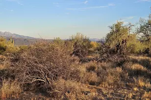 0 N 172nd St, Scottsdale, AZ 85262 - Photo 1