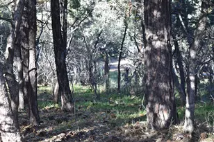 3829 N Pine Road N, Pine, AZ 85544 - Photo 23