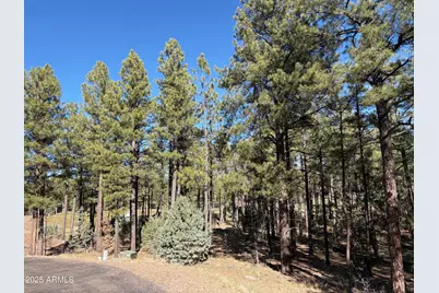 3680 W Sage Lane #260, Show Low, AZ 85901 - Photo 1