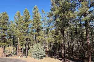 3680 W Sage Ln, Show Low, AZ 85901 - Photo 1