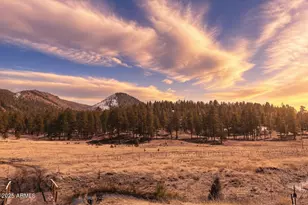 -- Country Road 2276 --, Nutrioso, AZ 85932 - Photo 1