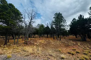 2793 Hummingbird Cir, Happy Jack, AZ 86024 - Photo 1