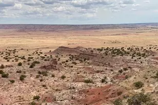 6286 N 6286 --, Saint Johns, AZ 85936 - Photo 1