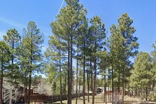 446 Osprey Ct, Pinetop, AZ 85935 - Photo 1