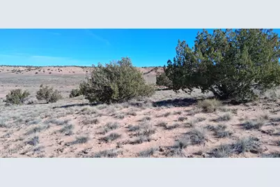 3.02 Acres Unnamed Road #457, Sanders, AZ 86512 - Photo 1