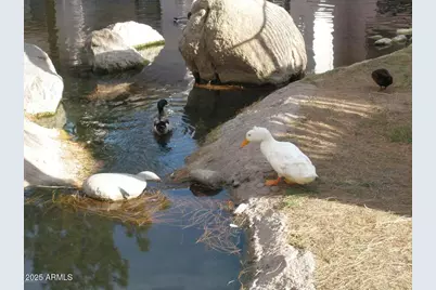 6550 N 47th Avenue N #238, Glendale, AZ 85301 - Photo 21