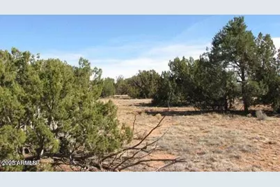 Lot 21 Chevelon Retreat #1 --, Heber, AZ 85928 - Photo 1