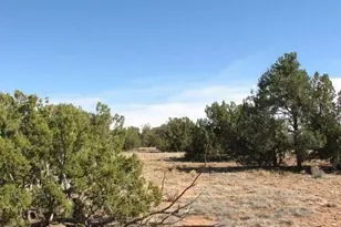 Lot 21 Chevelon Retreat #1 --, Heber, AZ 85928 - Photo 1