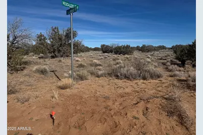 Lot 98 Woodland Valley Ranch -- #98, Saint Johns, AZ 85936 - Photo 1