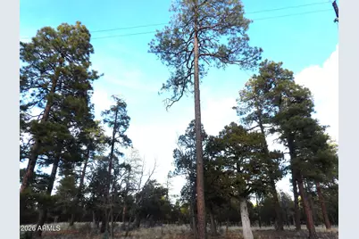 2941 Eagle Ridge Circle #119, Happy Jack, AZ 86024 - Photo 1