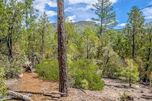 0 Fawn Dr --, Pine, AZ 85544 - Photo 1