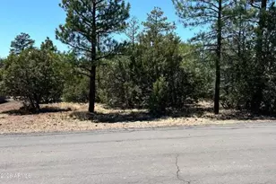 4864 Bison Trail, Lakeside, AZ 85929 - Photo 1