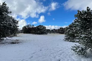 13537 Bly Sta Rd, Williams, AZ 86046 - Photo 1