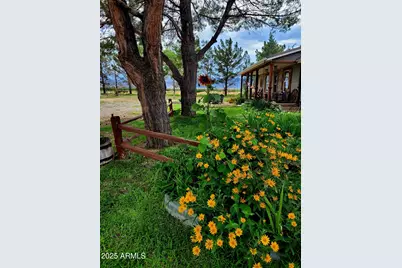 8255 N Fort Grant Road, Willcox, AZ 85643 - Photo 1