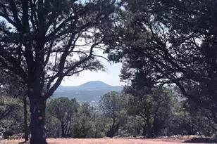 Lot 20 Mountain Pine Rd, Vernon, AZ 85940 - Photo 1