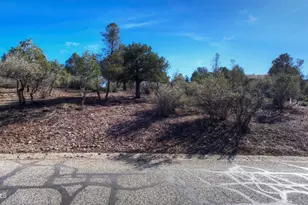 3351 Liese Dr, Prescott, AZ 86303 - Photo 1