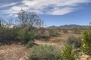 0 W Pampas Grass Rd, Maricopa, AZ 85139 - Photo 1