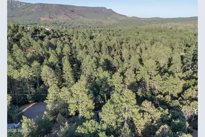 6829 W Robbin Lane, Pine, AZ 85544 - Photo 37