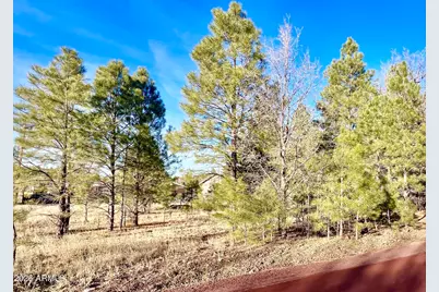 2748 Evergreen Drive #-, Show Low, AZ 85901 - Photo 1