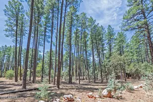 Lot 138 Marcy Way, Pine, AZ 85544 - Photo 1