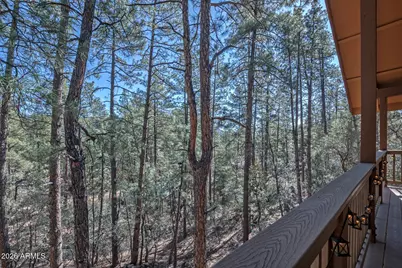 3923 N Mormon Lane, Pine, AZ 85544 - Photo 25