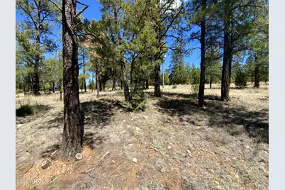 2870 Coyote Ridge #54, Happy Jack, AZ 86024 - Photo 1