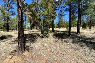2870 Coyote Ridge, Happy Jack, AZ 86024 - Photo 1