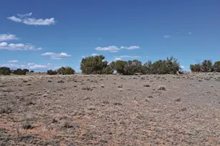 10 15 Ac Unnamed Rd, Sanders, AZ 86512 - Photo 1