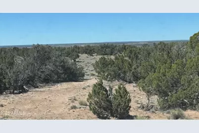 Lot 96 Bonito Valley Ranch -- #96, Saint Johns, AZ 85936 - Photo 1