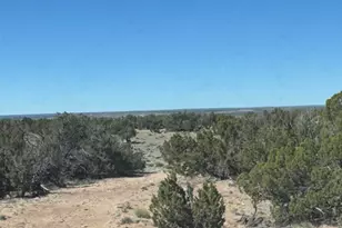 Lot 96 Bonito Valley Ranch --, Saint Johns, AZ 85936 - Photo 1